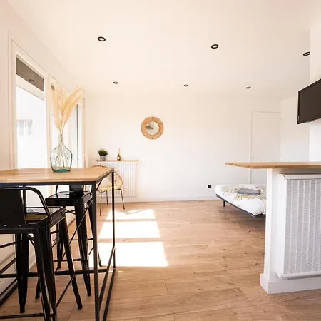 Studio Moderne Refait A Neuf Avec Balcon Apartment